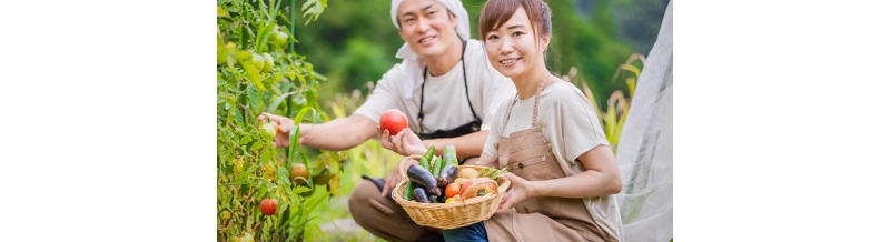 もう“奪う恋”はしない。幸せな恋を育てる方法